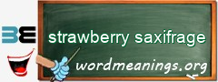 WordMeaning blackboard for strawberry saxifrage